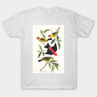 Louisiana Tanager and Scarlet Tanager from Birds of America (1827) T-Shirt